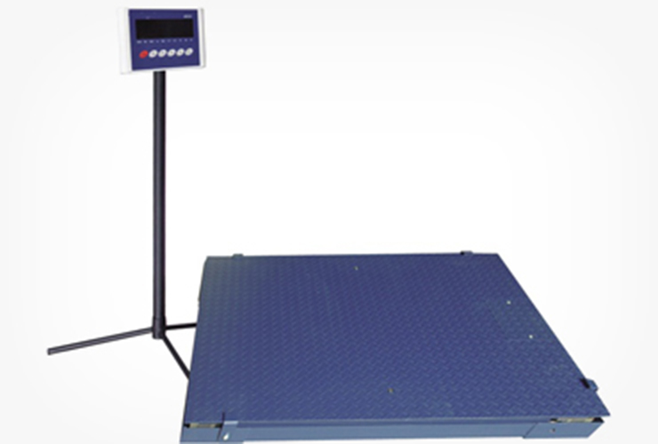 SL-DH Floor scale with frame